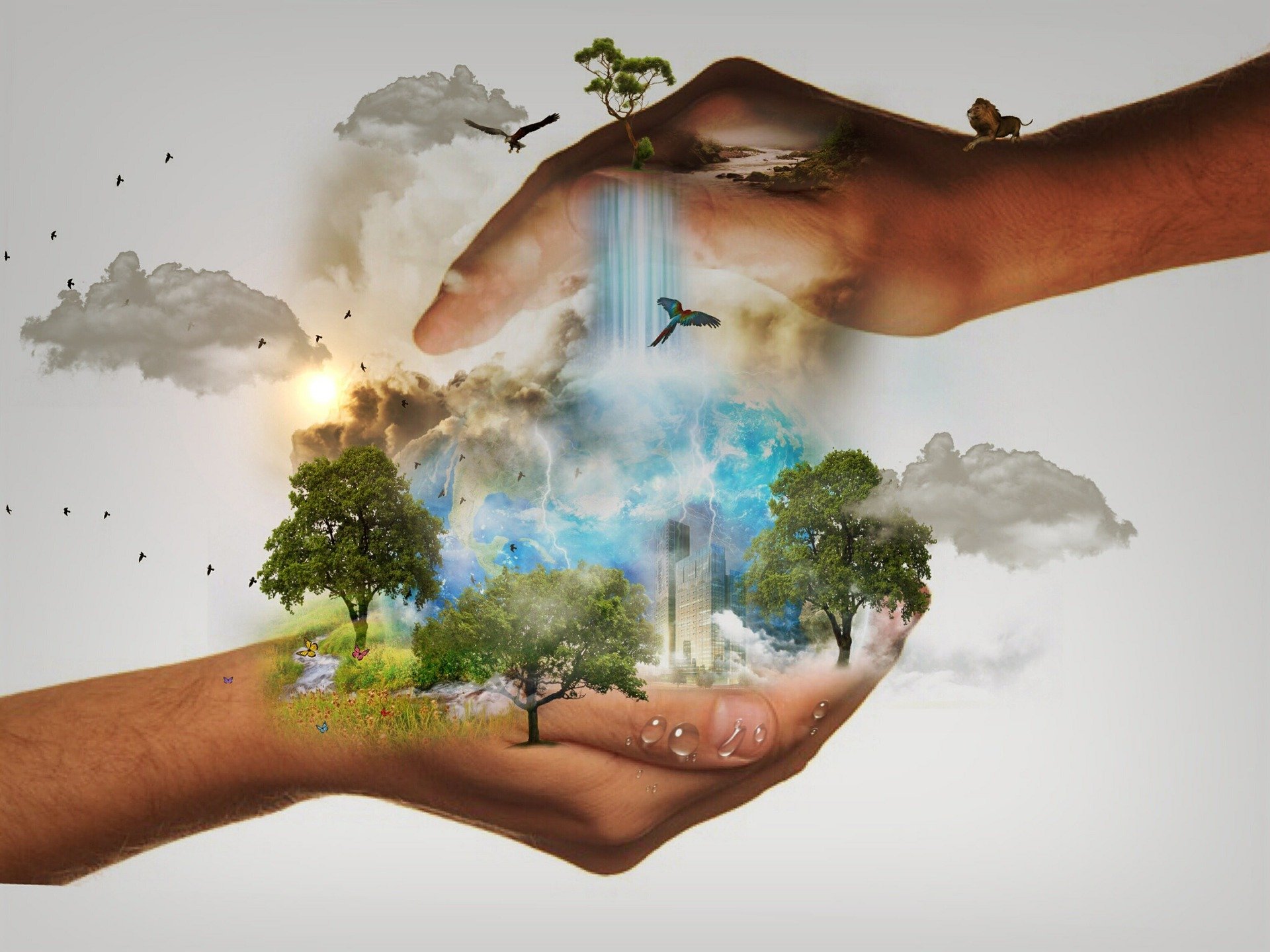 environnement et santé